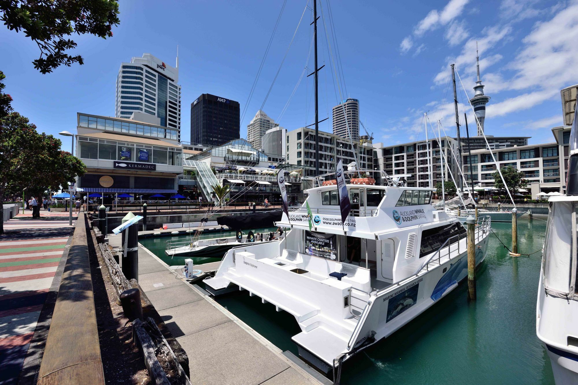Furnished Apartment In Auckland Cbd Buitenkant foto